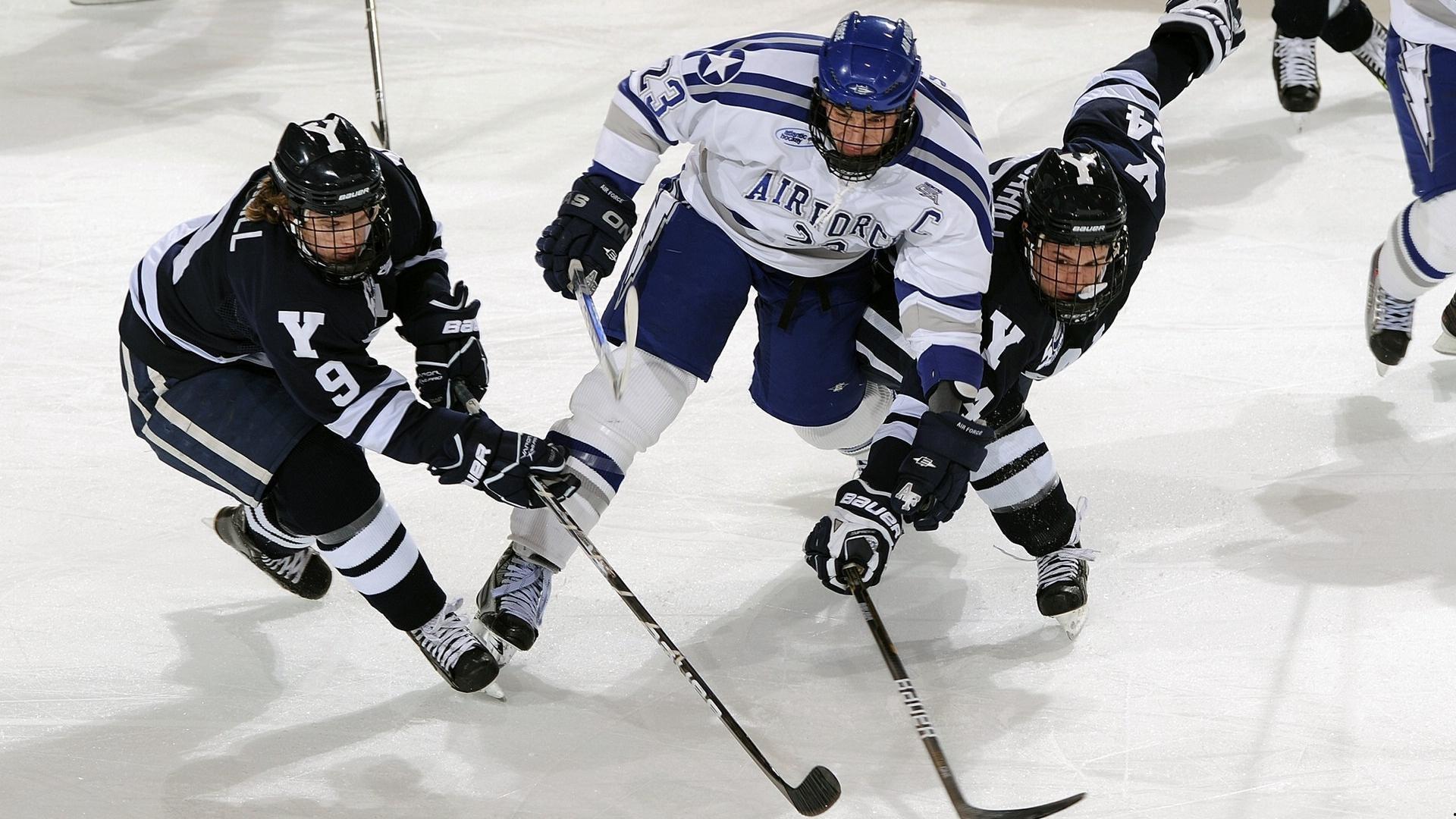 波斯雄鹰重返五环殿堂，十二载蛰伏淬炼，命运轮回见证荣耀归航